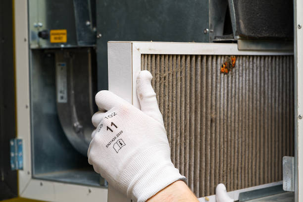Best Air Duct Cleaning Near Me  in Newaygo, MI