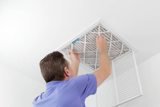 Best Home Air Vent Cleaning  in Newaygo, MI
